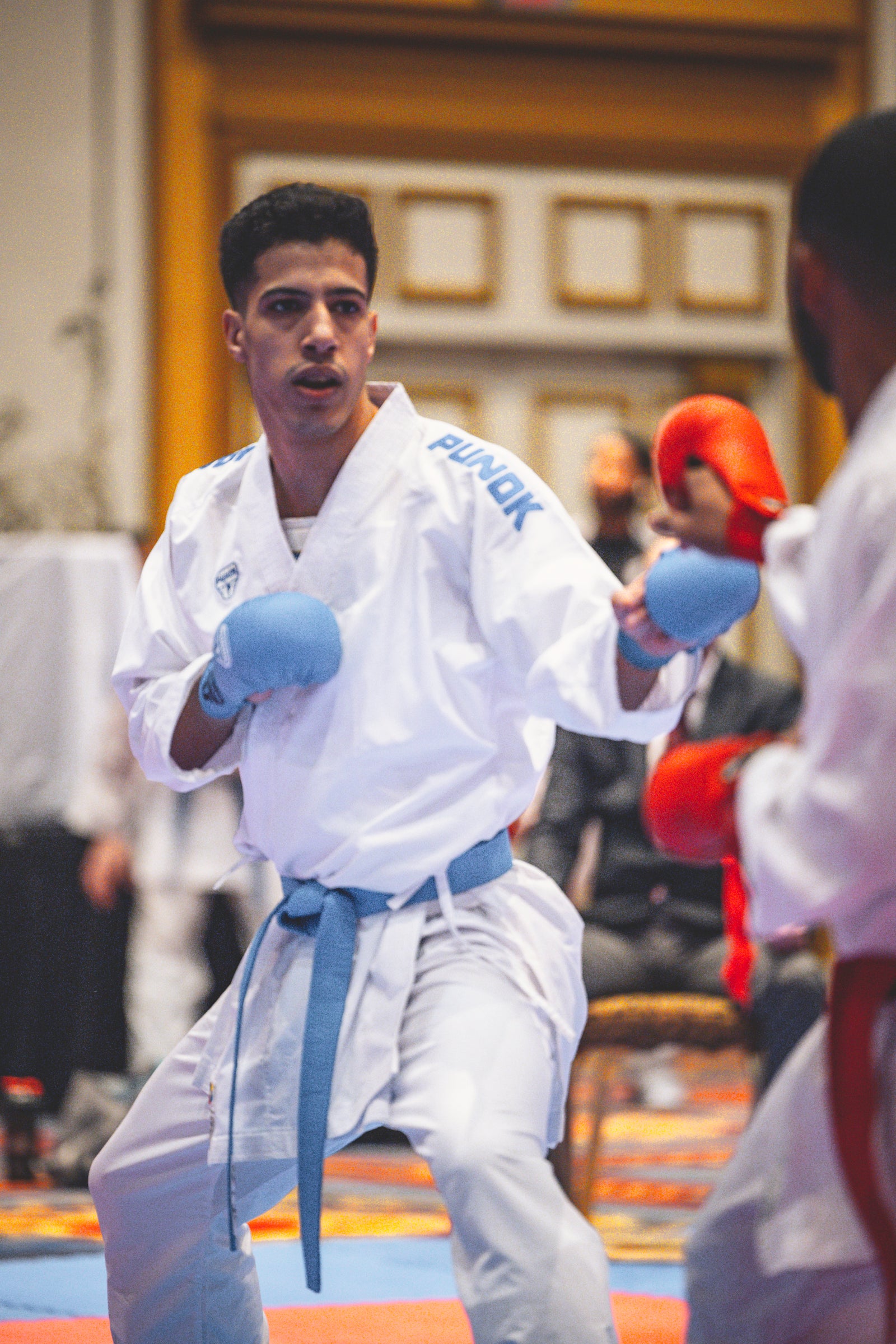 martial artist competing