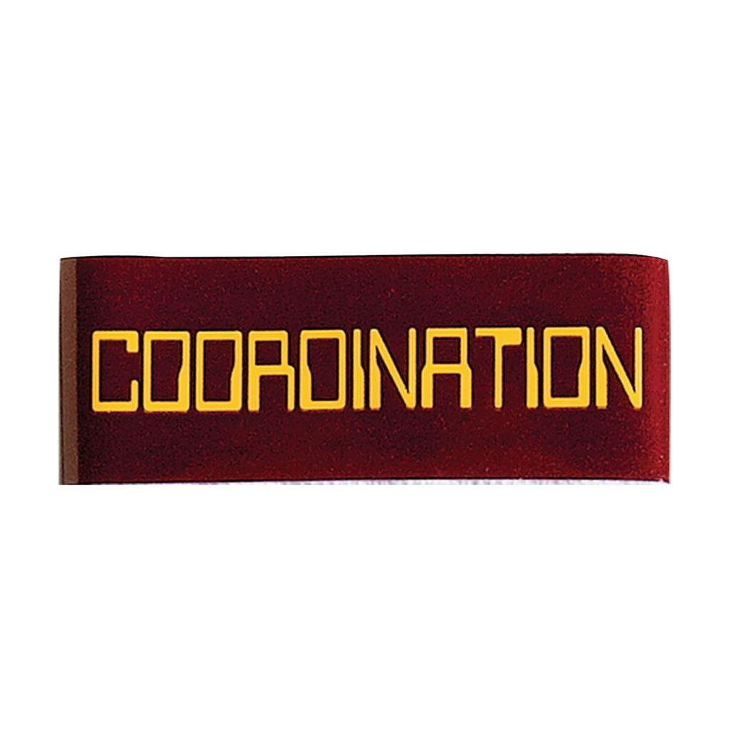 Achievement Belt Tape - Coordination achievement-belt-tape-coordination-410418