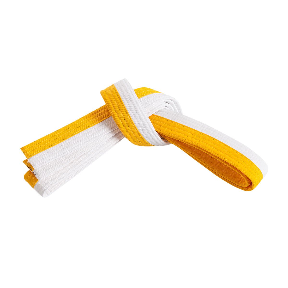 Double Wrap Two Tone Belt double-wrap-two-tone-belt-885613