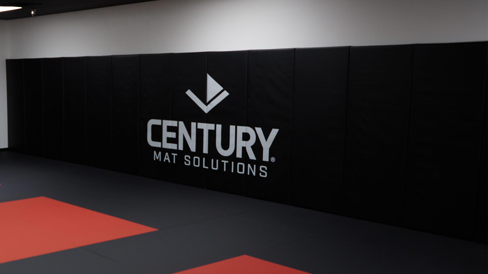 Wall &amp; Post Pads - Century Martial Arts